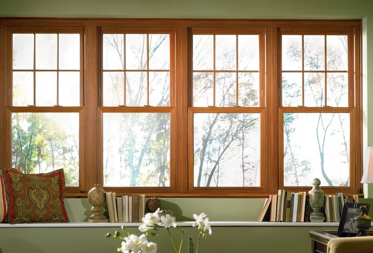 Energy Efficient Windows image